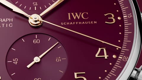 Portugieser Chronograph Year of the Dragon (Ref. IW371629)