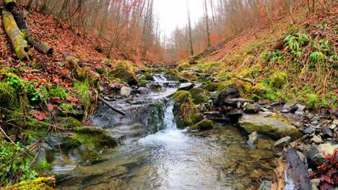 BEAUTY OF NATURE - WATERFALL