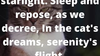 Meows and Monologues: A Prose Exploration of Feline Mysteries #poem #poetry #shorts #art👍👄🔔🛫✒️