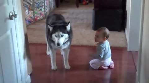 Dog imitates baby