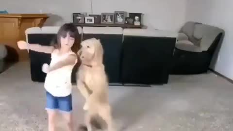 The little girl showed amazing stunts with the pet dog, seeing their exploits will be rolling