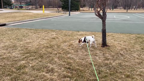 At the park