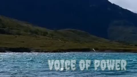 Million Dollar Words | True Words | Voice of power | #shorts