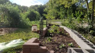Fall Planting & Garden Chores | Vlog