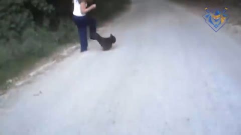 Funny animal attack. 99% try very hard to not laugh.