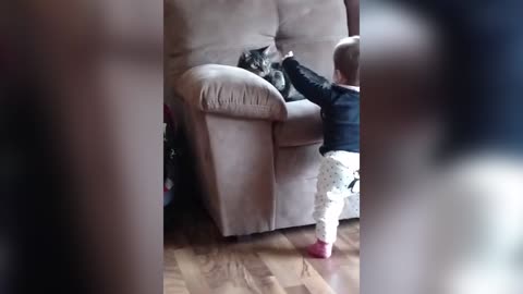 Fiesty Cat Swats Pacifier Directly Out Of Toddler's Mouth