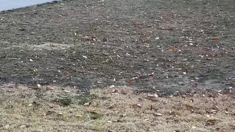 Mother and daughter playing in a reed field in late autumn