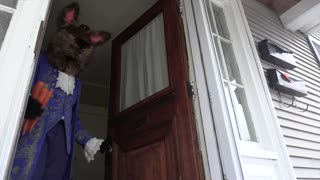 Bunny Dogs Trick or Treat on Easter Funny Dogs Maymo & Potpie vs Giant Bunnies