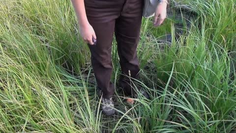 Fire Ecology Transect Line Procedures - Rocky Mountain National Park