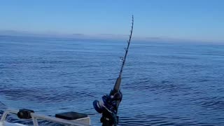 California Tuna Fishing