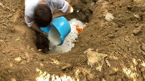 INDIAN FAMILY BURY THEIR DOG🐶🪦