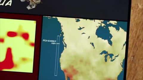 Satellites can be used to observe vegetation growth in grizzly bear habitats