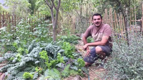 Off the Grid Zero Waste Profitable Permaculture Farm