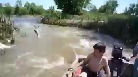 Carp Attack