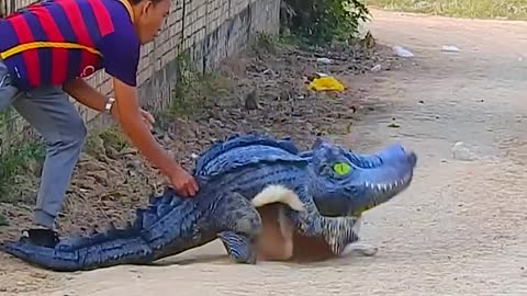 Fake Crocodile Prank With Dog