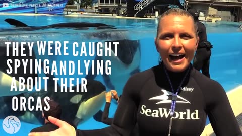 SeaWorld Year In Review