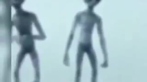2022 Real Alien Sighting!! Unexpected UFO Alien Sighting Caught on Camera - Real Alien videos
