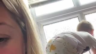 Parent on Toilet Interrupted by Kiddo Climbing Windowsill