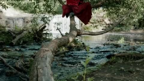 A Monk Meditating on a Tree