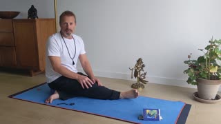 Hatha with Harry - Beginner's yoga 5.6 Adho mukha svanasana
