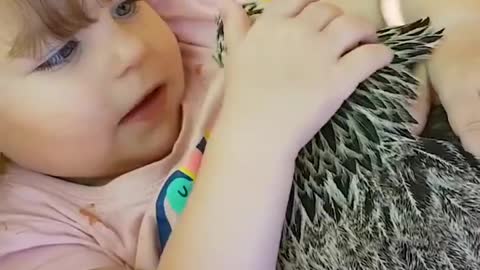 Vídeo precioso de niños respetando animales