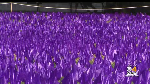 20,000 flags placed on Boston Common to honor lives lost to overdoses