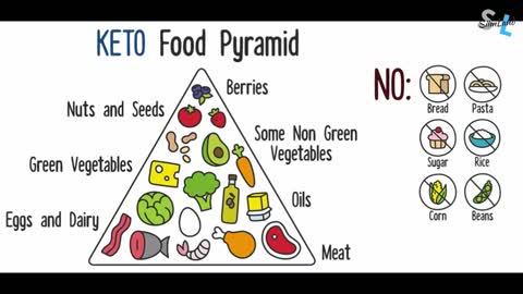 Life Cycle of a Keto Diet