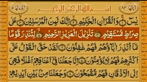 SURAH YASEEN WITH ARABIC TEXT #6692