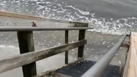 Ocean waves from the Pier