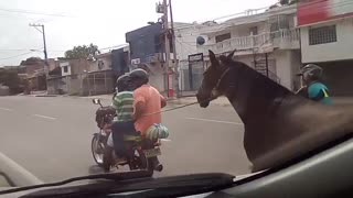 Video: Presunto caso de maltrato animal en Cartagena