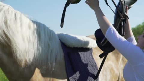 Horse mane. Woman's hand stroking the horse