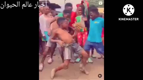Watch amazing African dances