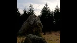 Ancient stone circle in a forest. DARTMOOR