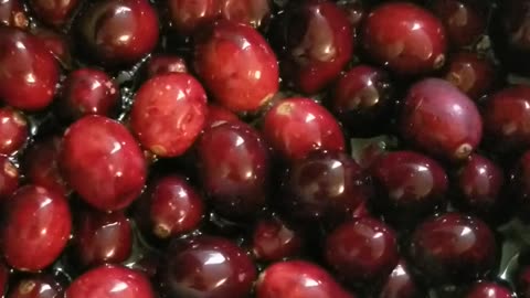 Homemade Cranberry Sauce