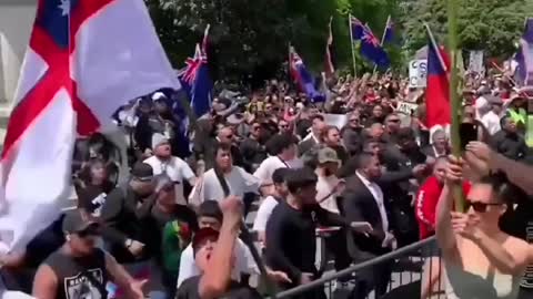 NZ Protesters Perform The Haka, A Traditional Māori Dance At Massive Protest Outside Parliament