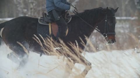 Equestrian sport - rider on red horse galloping in snowy field