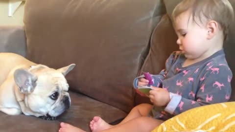 children having fun with pet