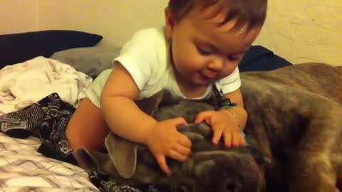 little boy invites to play with dog
