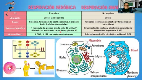 PAMER SEMESTRAL ESCOLAR 2022 | Semana 04 | Biología