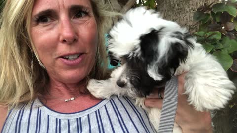 A Havanese perspective on the future of America