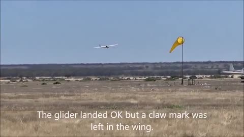 Eagle Attack RC Glider.