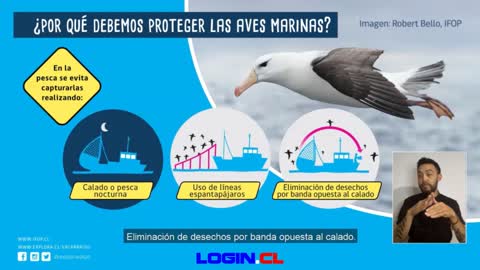 IFOP y Explora Valparaíso estrenan breves cápsulas para difundir la investigación científica marina