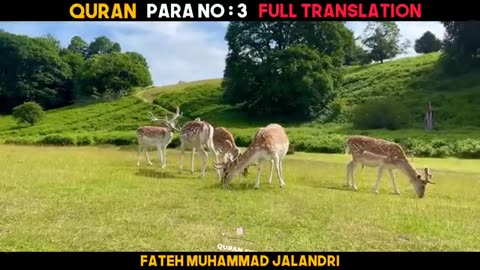 Quran Para 3 With Urdu Translation