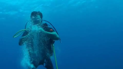 Diver Makes Circle Bubbles Under Water