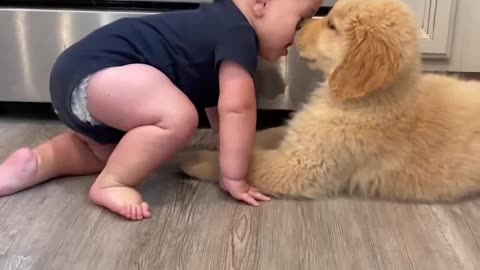 baby & puppy playing ❤️🥰