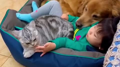 Dog & Cat and baby _sleeping