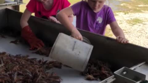 Crawfishin Girls