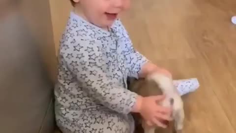 Cute pup playing with baby