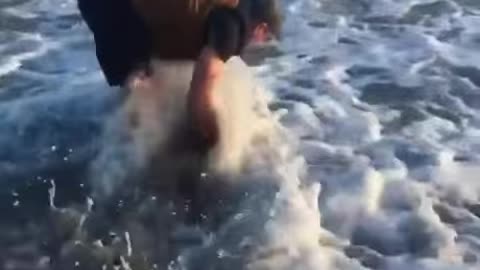 WATCH!! a Good samaritan helps baby dolphin back in the water👏🐬💙