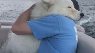 Lovable Dog Gives Endless Hugs To His Best Friend